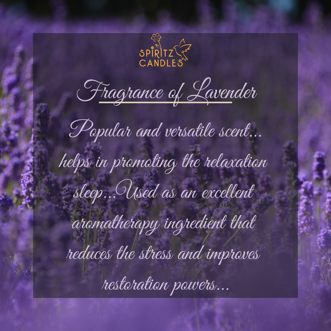 Fragrance_of_Lavender_1