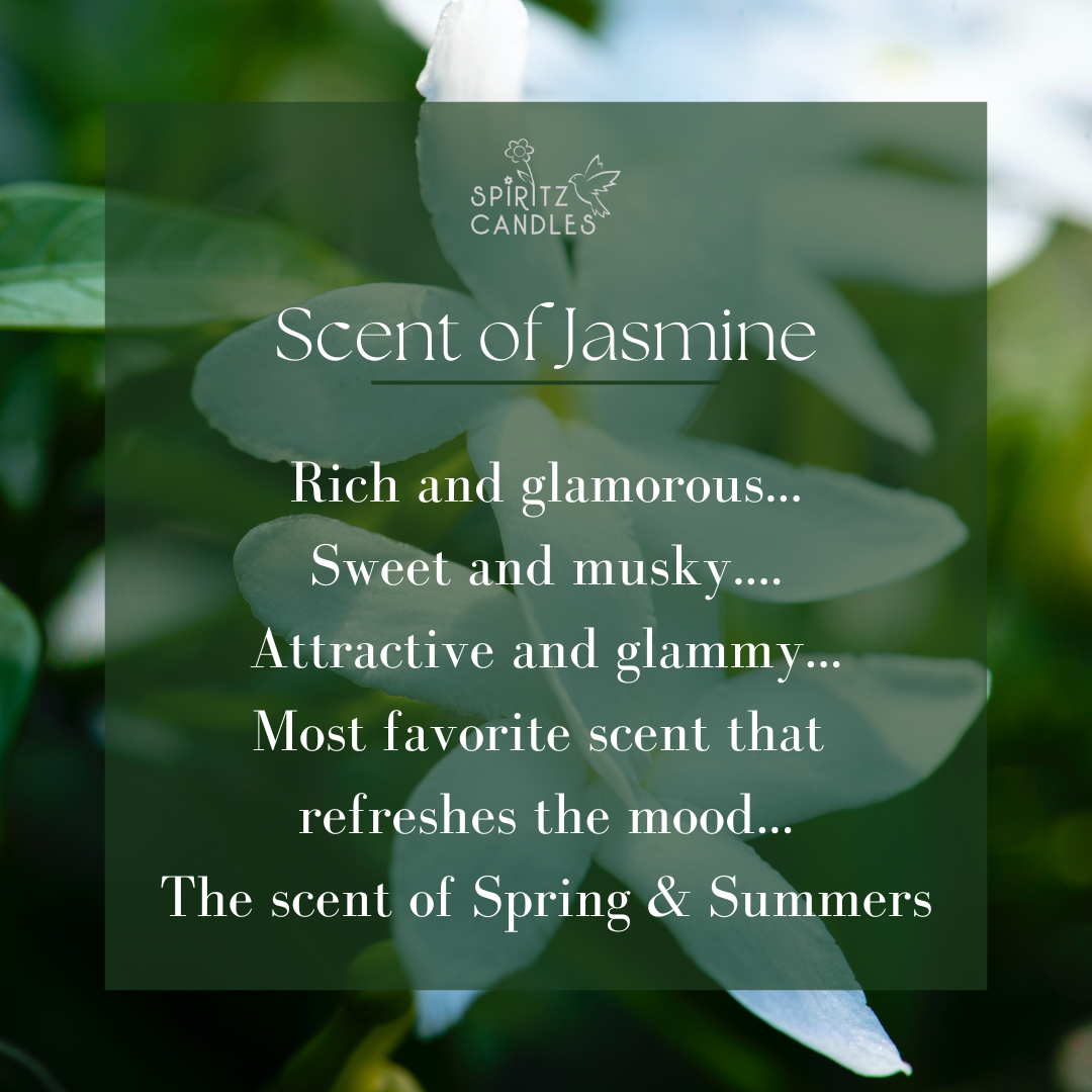 ScentedCandle-Jasmine scent